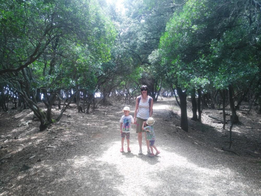 Cesta v dinosaura parku - Brijuni